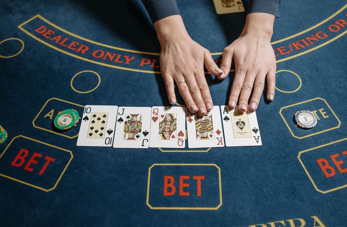 Windice Casino Live Betting